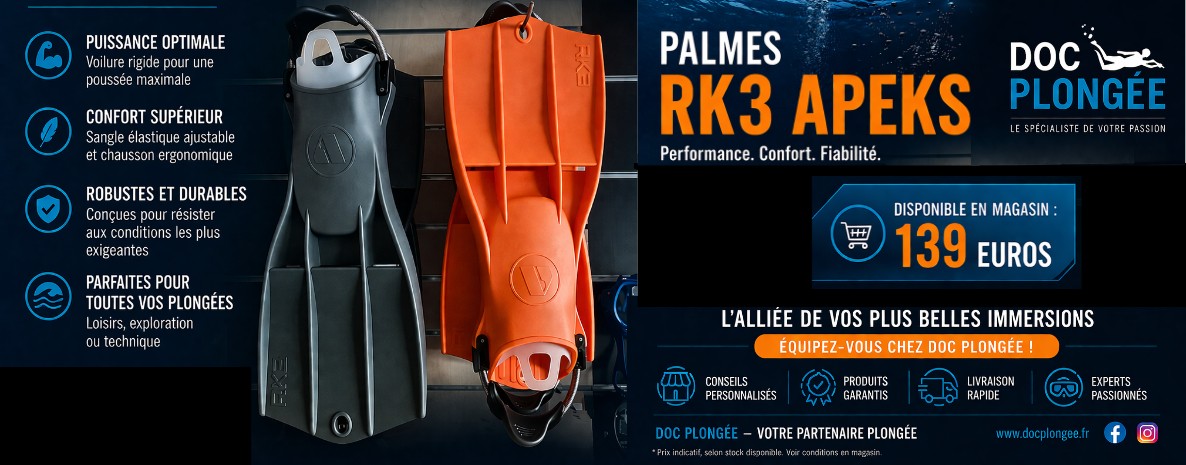 Palmes Mares noire et orange